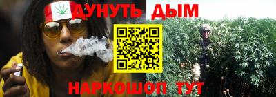 молекула духа Донской