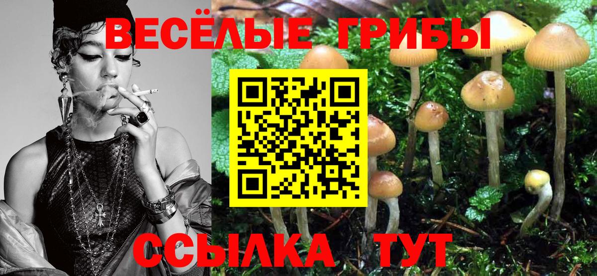 Мариинск  Галлюциногенные грибы ЛСД  Псилоцибиновые грибы прущие грибы  Вход с VPN 