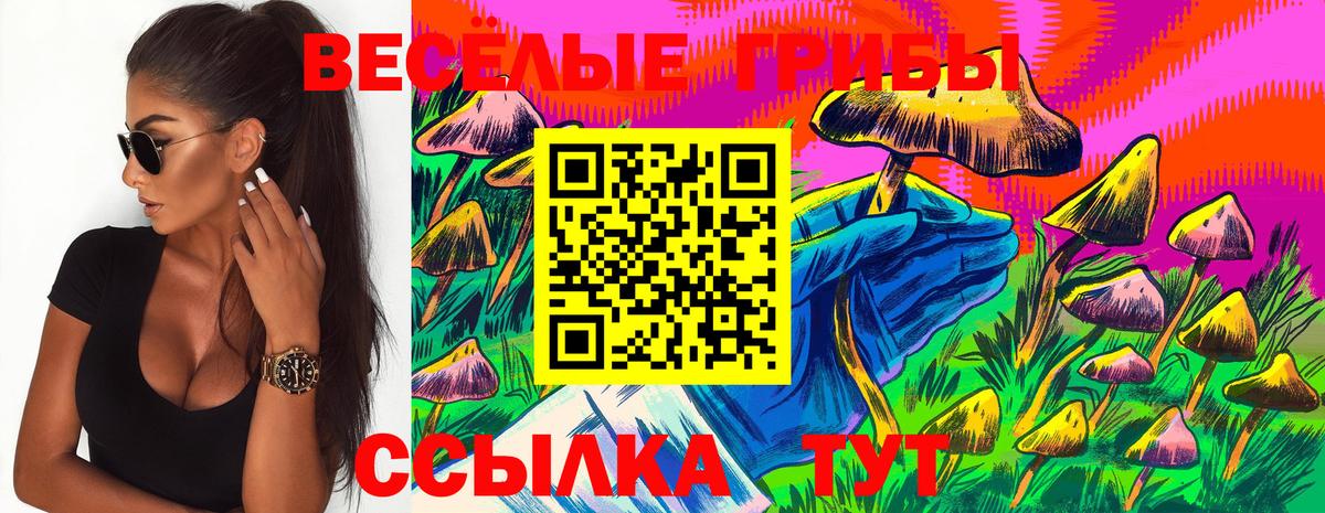 Галлюциногенные грибы Cubensis Мариинск